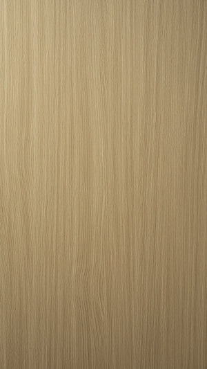 C2538-19