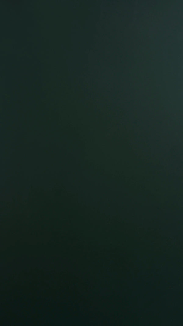 BT008