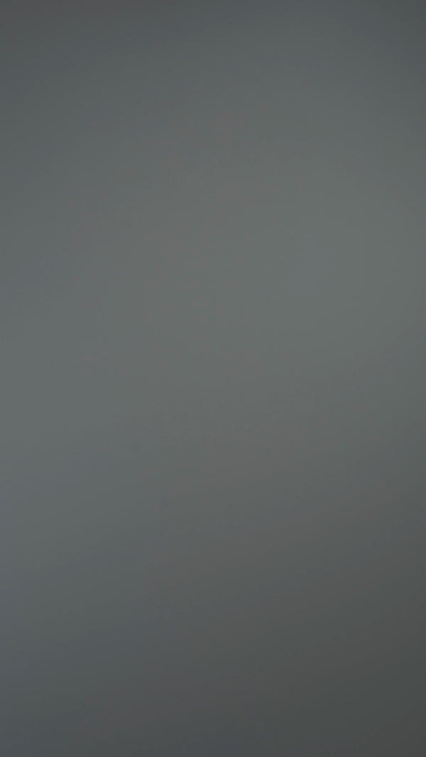 BT1010