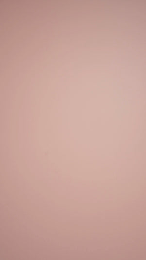 BT106