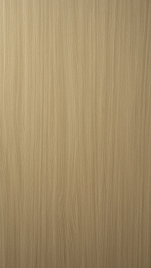 C2538-19