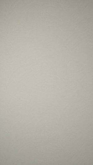 MF62087-1