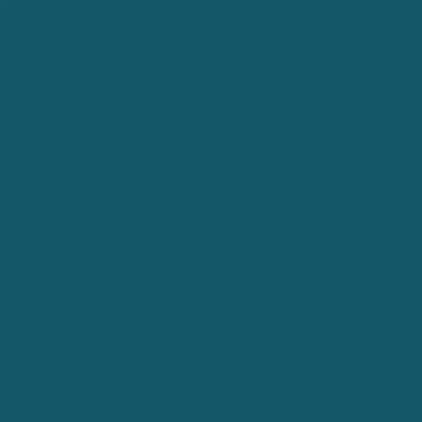 Tấm HPL IDECOR BT009