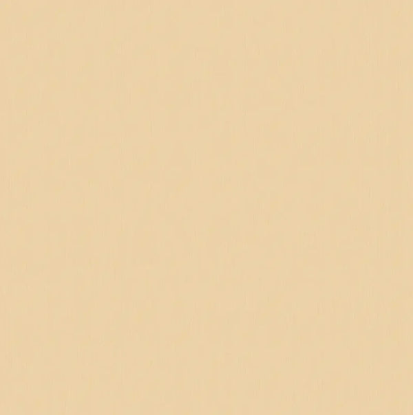 Y-0058-3