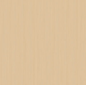 Y-0003-4