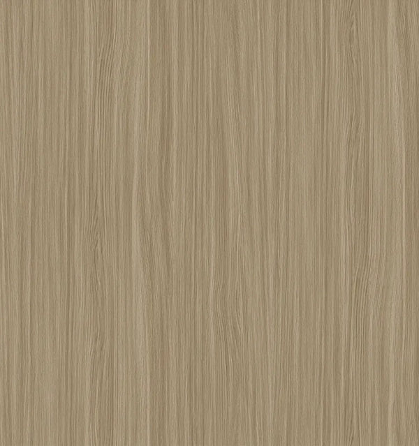 C2538-19