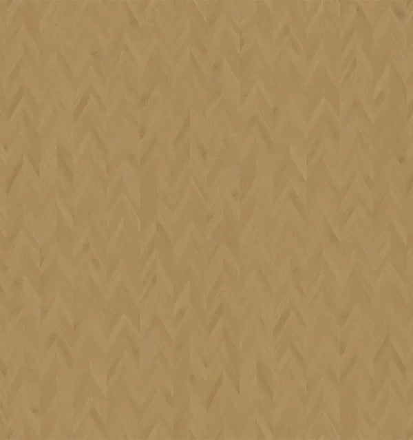 81067T