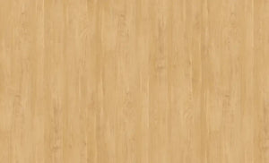 CK1603-12T