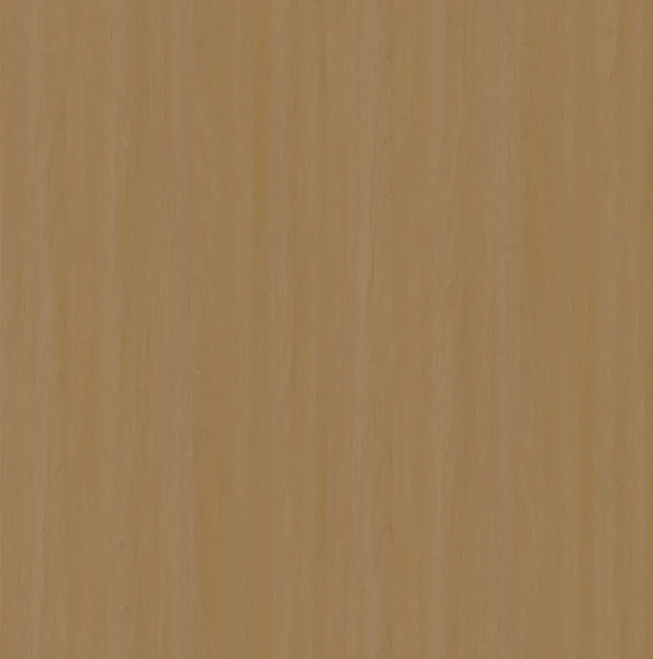 242444T