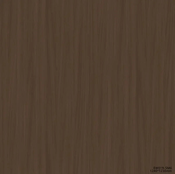 EW019-SM6